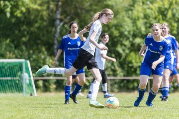 Bild 48 - wBJ VfL Pinneberg - Harksheide : Ergebnis: 2:1